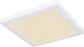 GLOBO 12380-18W LASSE Négyzetes Mennyezeti Lámpa LED IP20