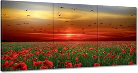 Festmények 120x60 Tájkép Látvány