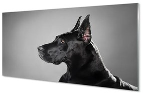 Akrilkép Fekete kutya 140x70 cm