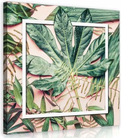 Vászonkép 80x80 Trópusi levelek zöld cseppek víz frissesség természet nyugalom