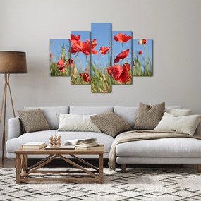Kép - Pipacsok (150x105 cm)
