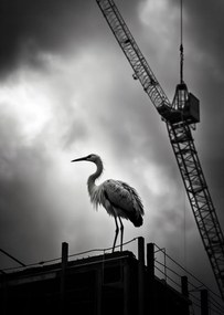 Poszter 67,5x95cm Magasan a horizont felett