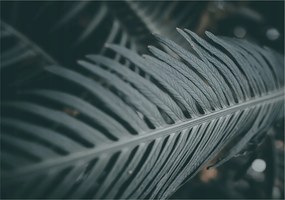 Fotótapéta Flizelina Nappaliba és Hálószobába Zöld levél 208x146 Ragasztó