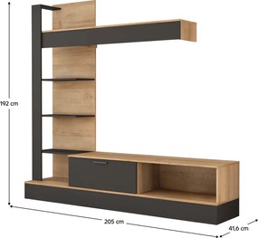 Nappali fal, riviera tölgy/fekete, GELUZA