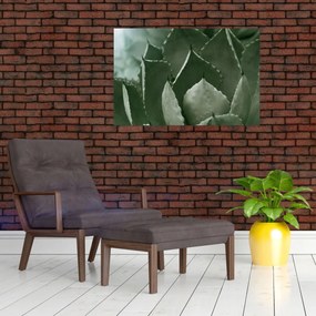 Kép - Zöld agávé (90x60 cm)