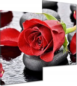 Vászonkép 60x60 Vörös rózsa Neki