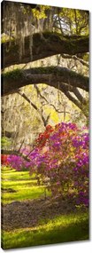Vászonkép 40x100 Virágok a parkban