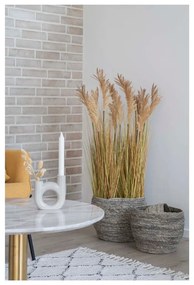 Fű műnövény (magasság 110 cm) Sorghum – House Nordic