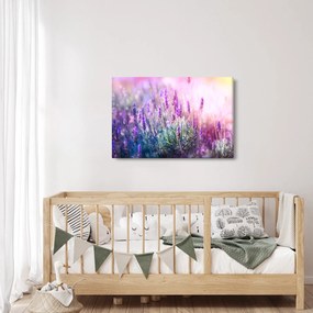 Kép - Levendula a csillogó napban (90x60 cm)