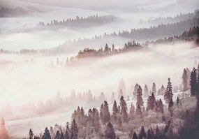 Fotótapéta Erdő A Ködben 3D Hegyek Hálószoba 254x184