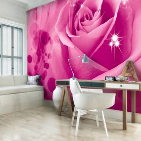 Fotótapéta - Absztrakt művészet (152,5x104 cm)