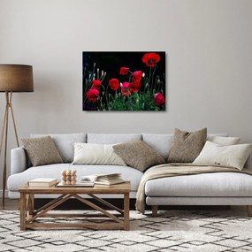Kép - Pipacsok tánca (üvegen) (70x50 cm)