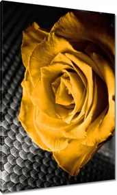 Vászonkép 70x100 Sárga rózsa