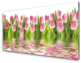 Akril üveg kép Plant tulipánok Természet 100x50 cm 2 fogas