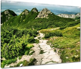 Vászonkép 80x60 Tátra Lengyel hegyek Kilátás