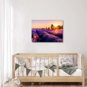 A levendula mező képe, Provence (üvegen) (70x50 cm)