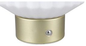 Fehér-aranyszínű LED dimmelhető asztali lámpa üveg búrával (magasság 19,5 cm) Lord – Trio