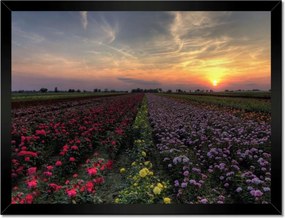 Poszterek keretben 40x30 Nyugat a virágmezőn
