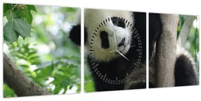 Kép - Panda a fán (órával) (90x30 cm)