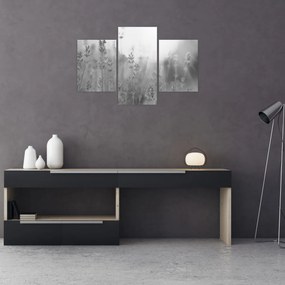 Kép - Levendula (90x60 cm)