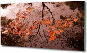 Fotó üvegkép Pitypang magok 100x70