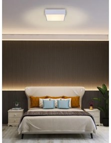 Immax NEO 07238L - LED dimmelhető mennyezeti lámpa CANTO 22W/230V fehér Tuya + t