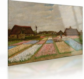 Üveg kép - Vincent van Gogh, Flower Beds in Holland, reprodukciók (70x50 cm)