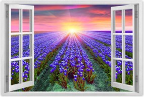 Poszter 60x40 Tulipántenger Tulipánok