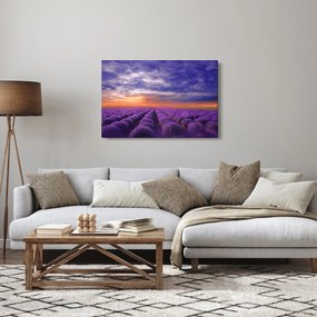 Egy levendula mező képe (90x60 cm)