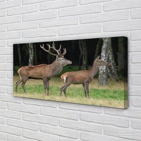 Canvas képek szarvas erdei 140x70 cm