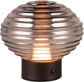 Trio EARL R57771154 Asztali lámpa 1x2w/led 3000k 100lm ip20