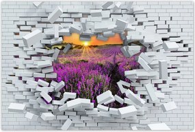 Poszter 60x40 Levendulamező Nyugat