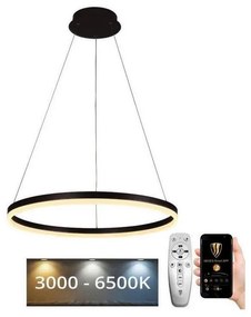 Brilagi - LED Dimmelhető csillár zsinóron CIRCLE LED/42W/230V 3000-6500K + távirányító BG-J4308/B