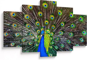 Kép - Páva (150x105 cm)