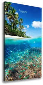 Vászon nyomtatás Korallzátony ocv-78236057