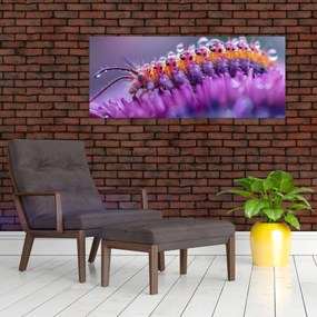 Kép - Caterpillar (120x50 cm)