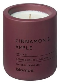 Illatos szójaviasz gyertya égési idő 24 ó Fraga: Cinnamon &amp; Apple – Blomus