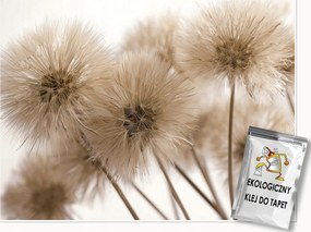 Fotótapéta Pitypang Boho Természet Hálószoba Nappali Tapéta Flizelina 200x140