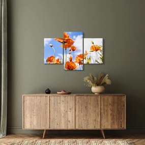 Pipacsok képe (90x60 cm)
