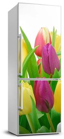 Matrica hűtőre Tulipán FridgeStick-70x190-f-12652067