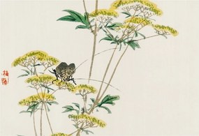 Dekoratív fotótapéta Falra Könnyű Összeszerelés Virágok természet 152x104 Ragasztó