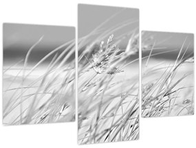Kép - Strandfű (90x60 cm)