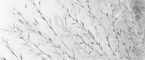 Kép - Pampafű N⁰2 (120x50 cm)