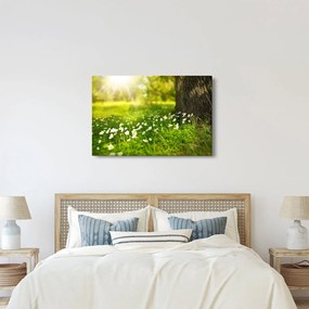 Tisztás és a virágok képe (90x60 cm)