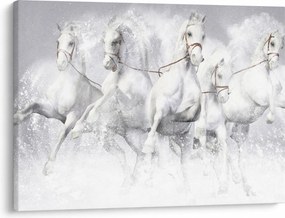 Kép - Versenylovak illusztrációja (70x50 cm)