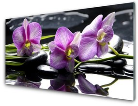 Akrilüveg fotó Virág orchidea növény 100x50 cm 4 fogas