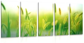 5-részes kép fű szállak zöld színben