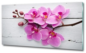 Egyedi üvegkép Orchid a fán osh-118409675