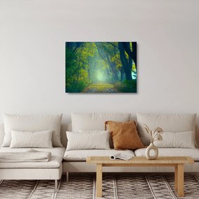 Fákkal szegélyezett út képe (üvegen) (70x50 cm)