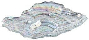LEONARDO POESIA kagyló tál 23x17cm